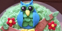 Boy Owl Mini Cake