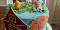 Farm Babies Mini Cake