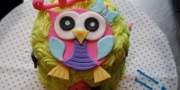 Owl 1 Smashcake