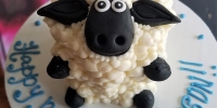 Shawn the Sheep Smashcake