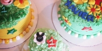 farm scene cake and smashcake
