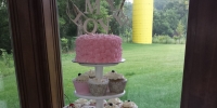 Pink wedding tier